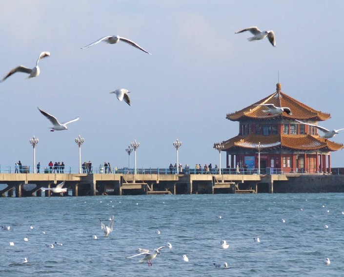 煙臺青島聯(lián)線;青島嶗山 市內(nèi)純玩兩日游hl