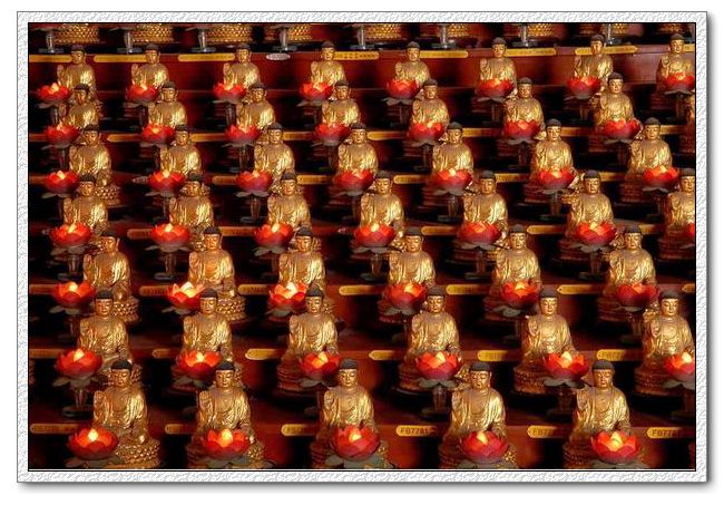 周邊：煙臺(tái)龍口南山景區(qū)一日游