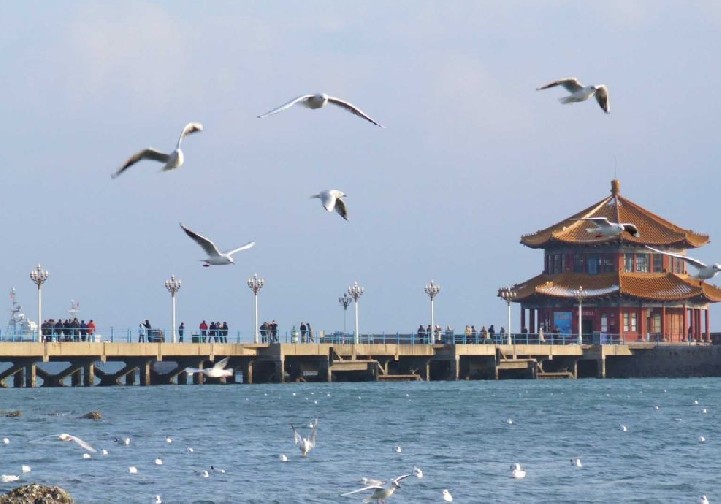 煙臺(tái)青島聯(lián)線：蓬萊閣、劉公島、青島市內(nèi)、嶗山純玩4日游