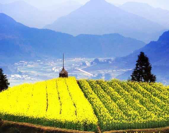 B 夜艷江南---- 華東五市+雙水鄉(xiāng)烏鎮(zhèn)南潯+南山竹海+靈山大佛+三大夜景豪華純玩雙飛六日游s